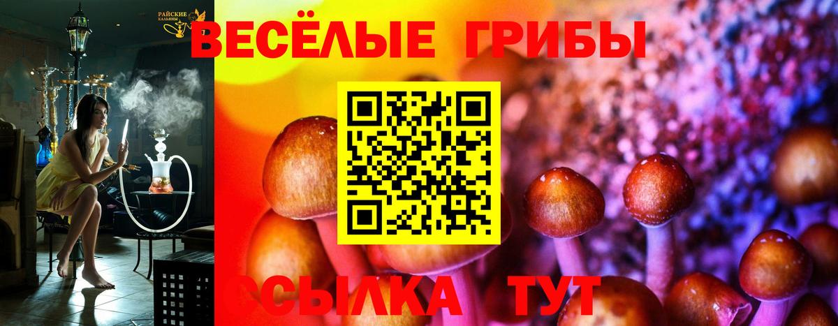 сколько стоит  Псилоцибиновые грибы мицелий  Мценск  Вход с VPN  Галлюциногенные грибы мицелий 
